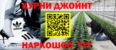 сатива Ипатово