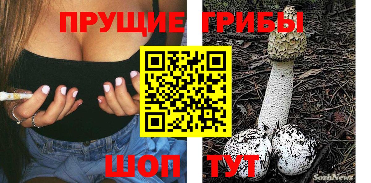 Псилоцибиновые грибы Cubensis Ленинск-Кузнецкий