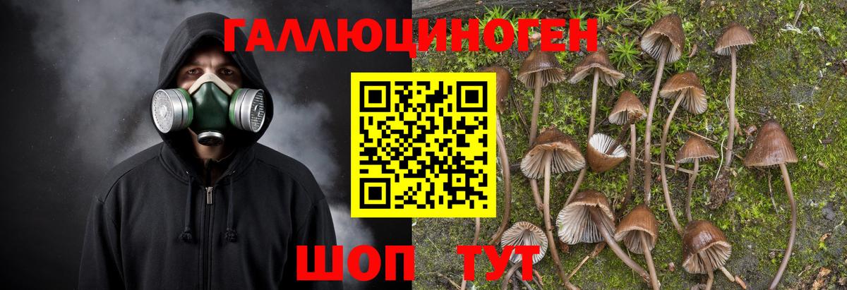 купить наркотик  Псилоцибиновые грибы мухоморы  Вход с VPN  Ленинск-Кузнецкий 